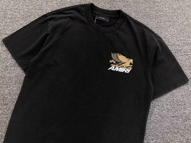 Camiseta Amiri Vintage Pegasus